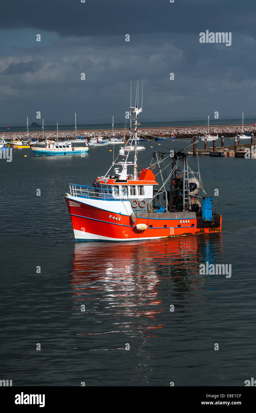 Flotte de pêche de Brixham,e 444,flotte de chalutiers de brixham,koden,UK les navires ont débarqué 27 millions de livres sterling de poisson à Brixham en 2012 , les chalutiers de l'UE ayant accès aux eaux britanniques Banque D'Images