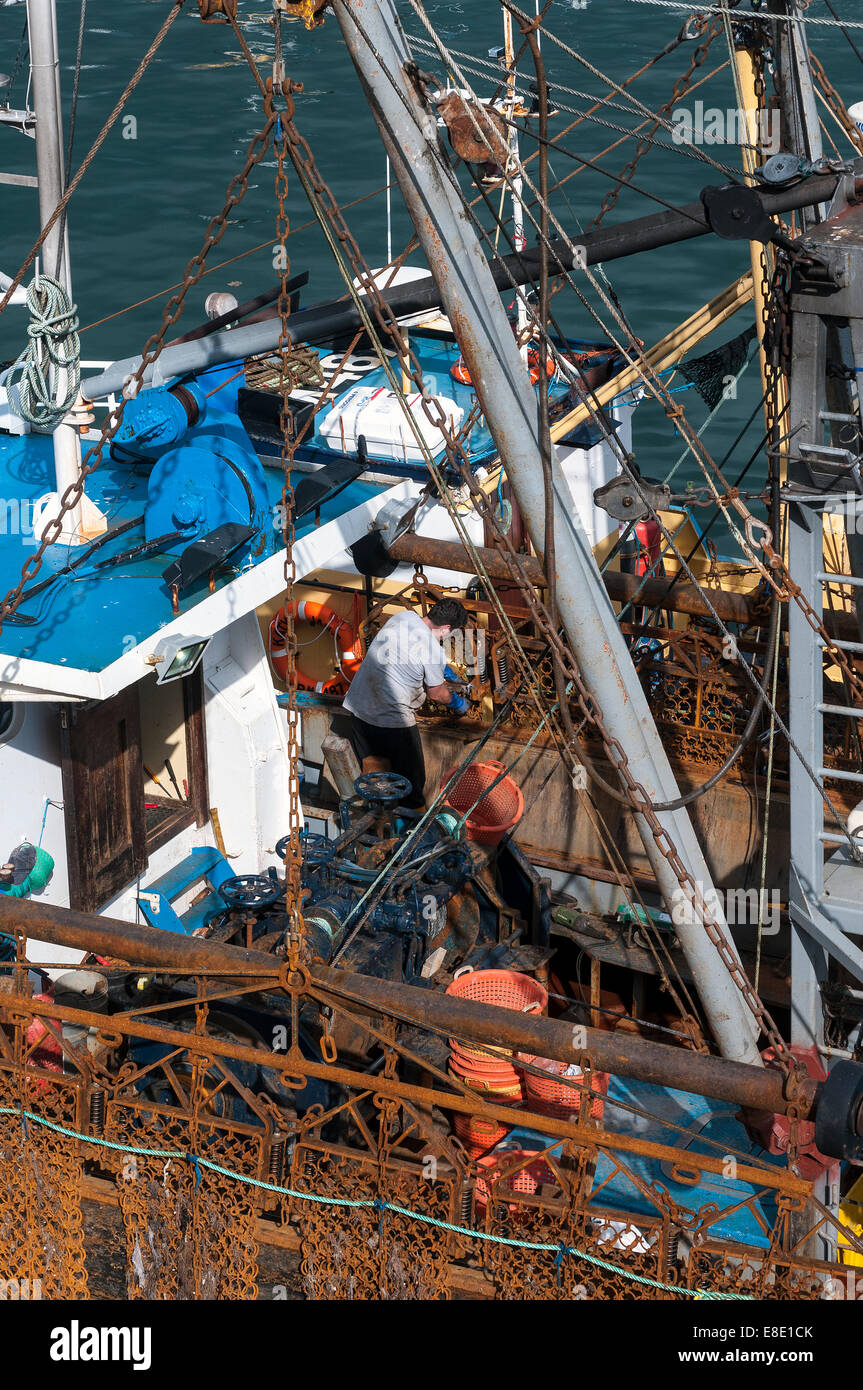 La flotte de pêche,Brixham brixham trawler,parc,koden UK £27millions au débarquement des bateaux de poisson en Brixham en 2012 - le total le plus élevé Banque D'Images