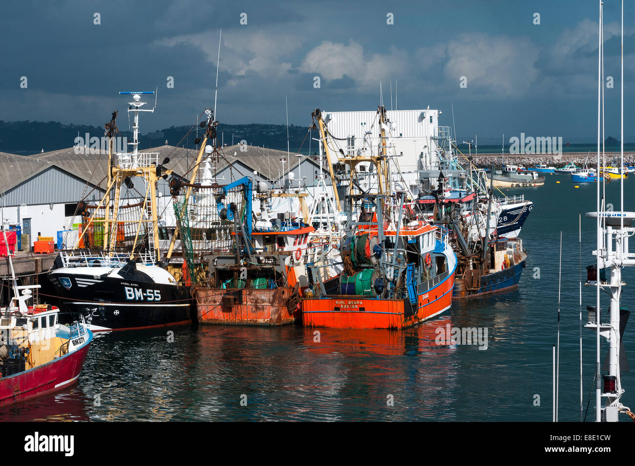 La flotte de pêche,Brixham brixham trawler,parc,koden UK £27millions au débarquement des bateaux de poisson en Brixham en 2012 - le total le plus élevé Banque D'Images