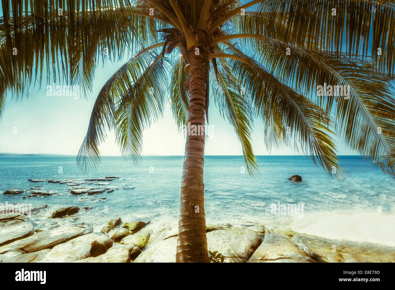 Belle journée ensoleillée à la plage tropicale avec palmiers. Paysage de l'océan dans un style vintage Banque D'Images Belle journée ensoleillée à la plage tropicale avec palmiers. Paysage de l'océan dans un style vintage Banque D'Images