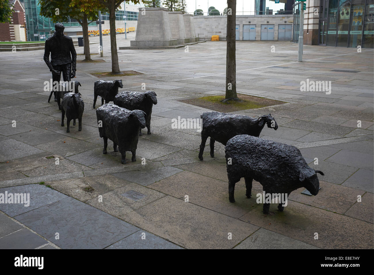 Moutons sur la route sculpture en bronze de Deborah Brown dans Belfast City Centre Banque D'Images