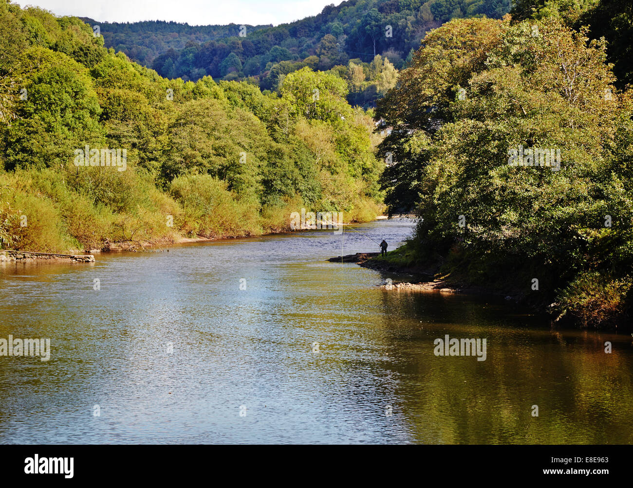 Tronçon de la rivière Wye dans Monmouthshire Galles du Sud avec un pêcheur de mouche sur la banque loin Banque D'Images