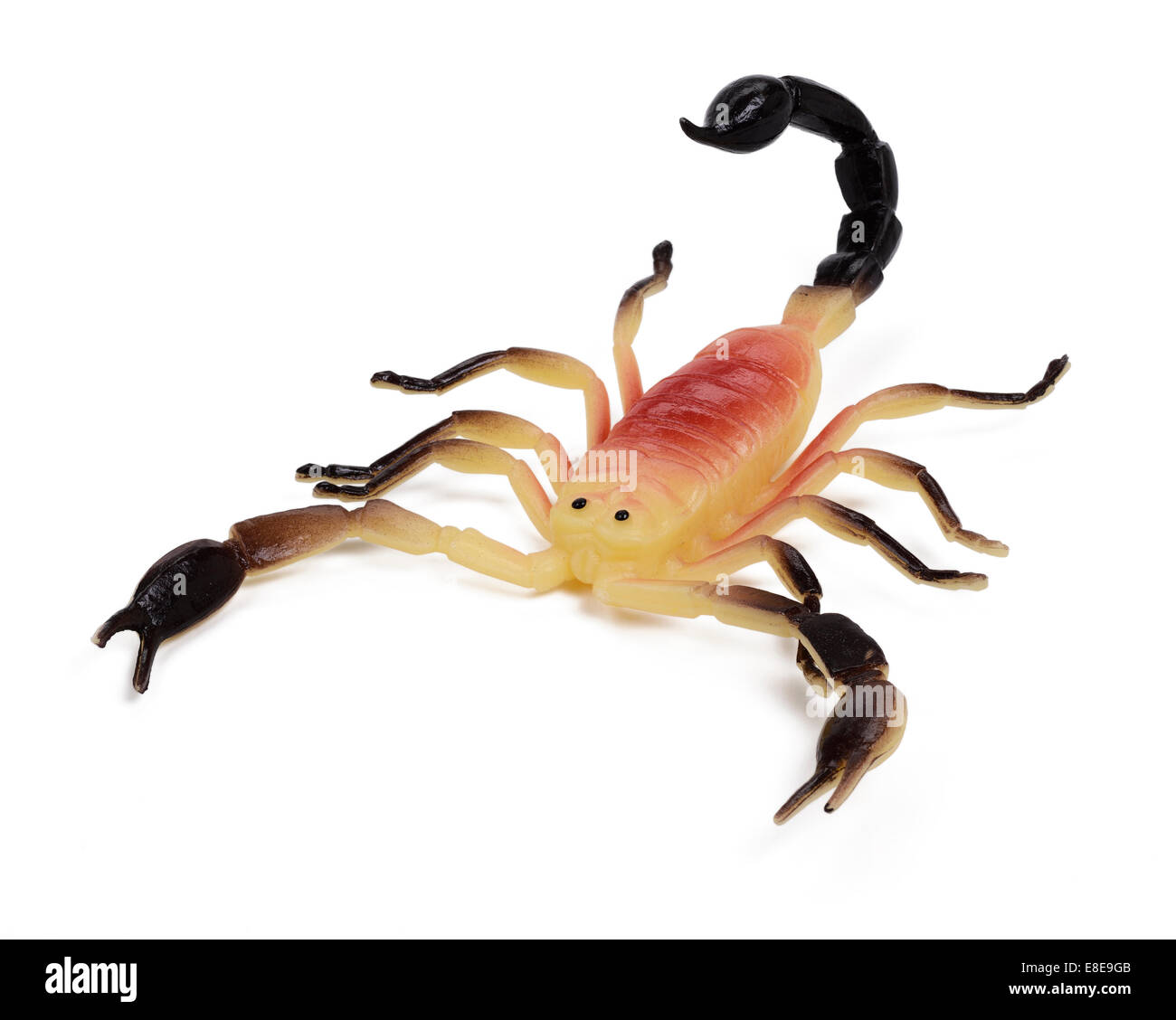 Scorpion jouet en plastique Banque D'Images