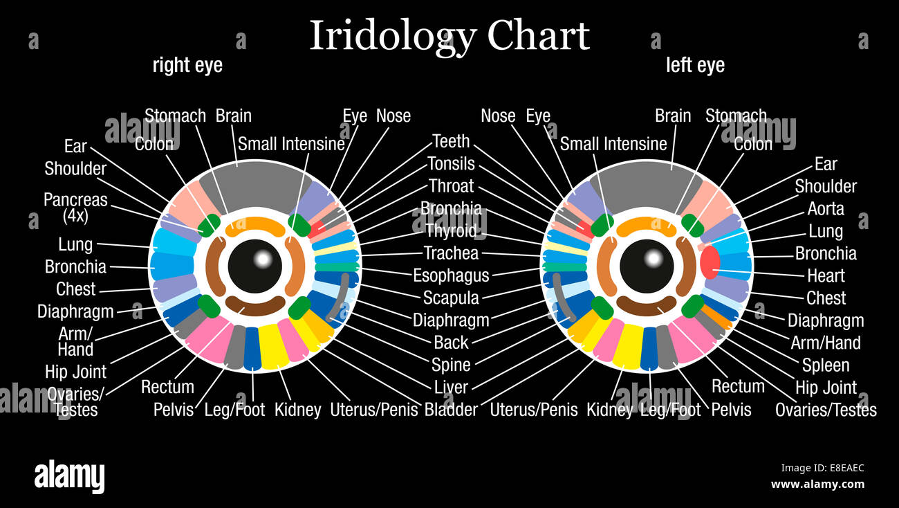 Diagnostic de l'iris ou l'iridologie graphique avec une description précise des organes internes et les parties du corps. Banque D'Images