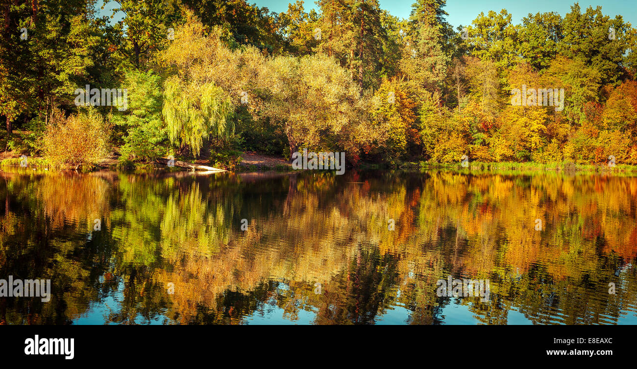 Journée ensoleillée en extérieur parc avec lac et arbres aux couleurs automnales sous réflexion ciel bleu. Incroyable de couleurs automne nature Banque D'Images