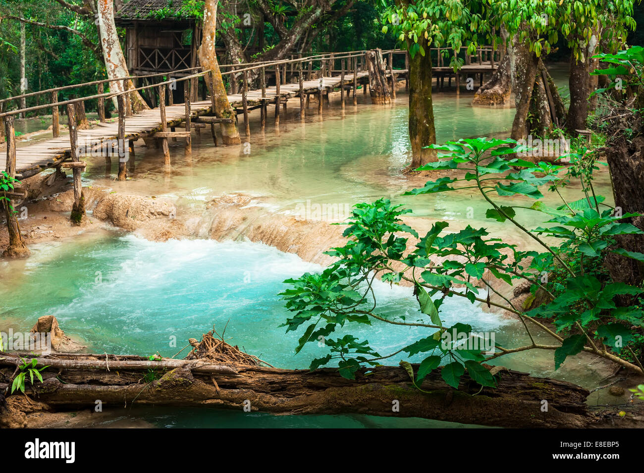 Jangle paysage de forêt tropicale humide paysage avec pont de bois et de l'eau turquoise magnifique cascade de Kuang Si waterfall. Banque D'Images Jangle paysage de forêt tropicale humide paysage avec pont de bois et de l'eau turquoise magnifique cascade de Kuang Si waterfall. Banque D'Images