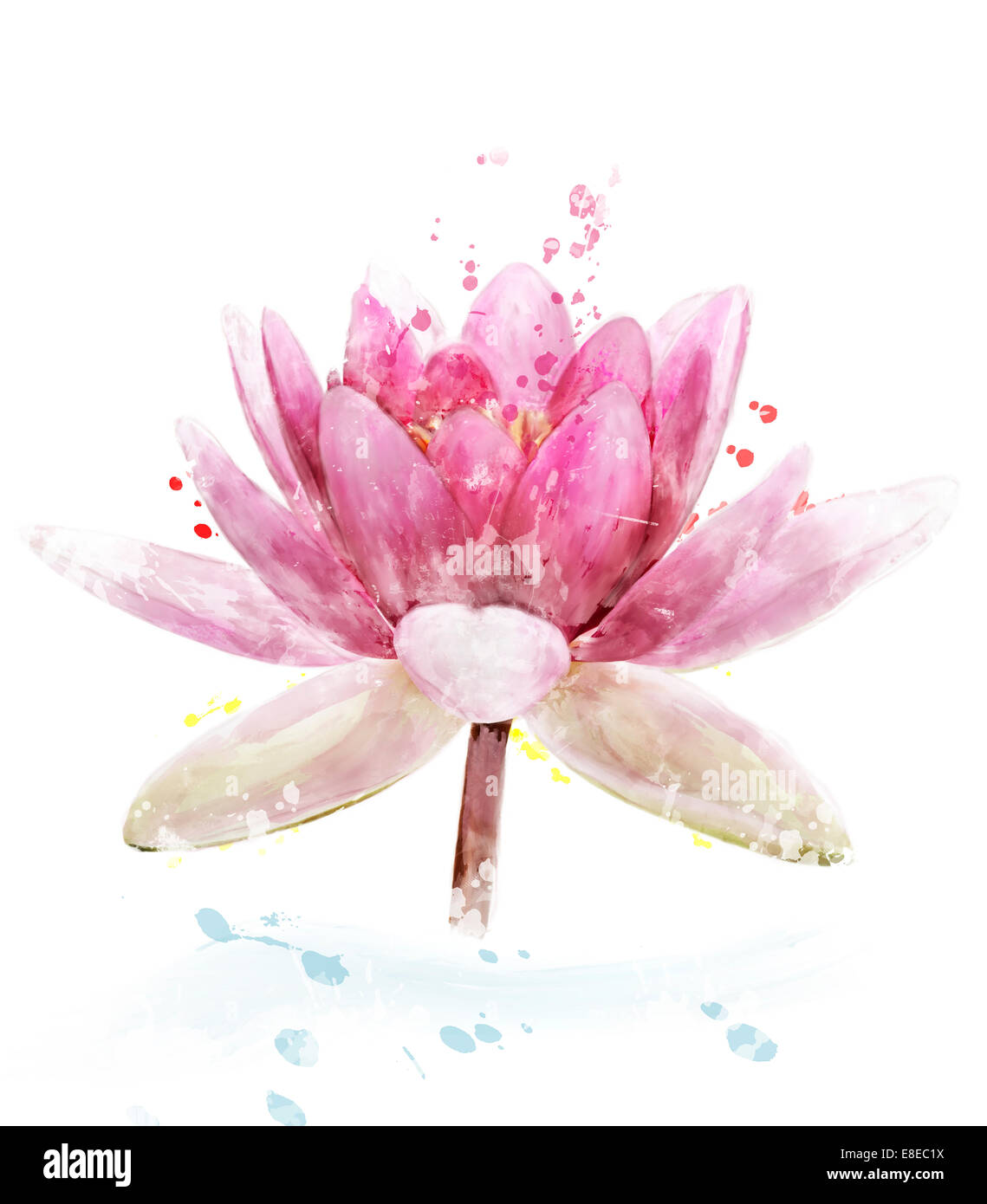 Aquarelle peinture digitale rose fleur de nénuphar Banque D'Images