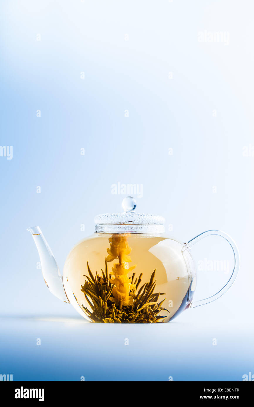 Studio shot of Plateau fleur dans un verre d'eau claire Banque D'Images