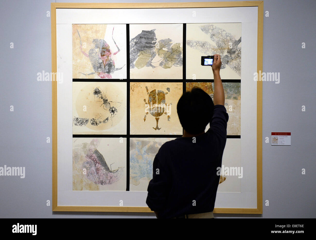 Shijiazhuang, Province de Hebei en Chine. Oct 7, 2014. Un visiteur prend des photos d'une œuvre dans le cadre du 12e Salon national des beaux-arts de ¡¤ la peinture avec différents matériaux au Musée de Hebei à Shijiazhuang, capitale de la province de Hebei en Chine du nord, le 7 octobre 2014. L'exposition durera jusqu'au 30 octobre. © Wang Xiao/Xinhua/Alamy Live News Banque D'Images