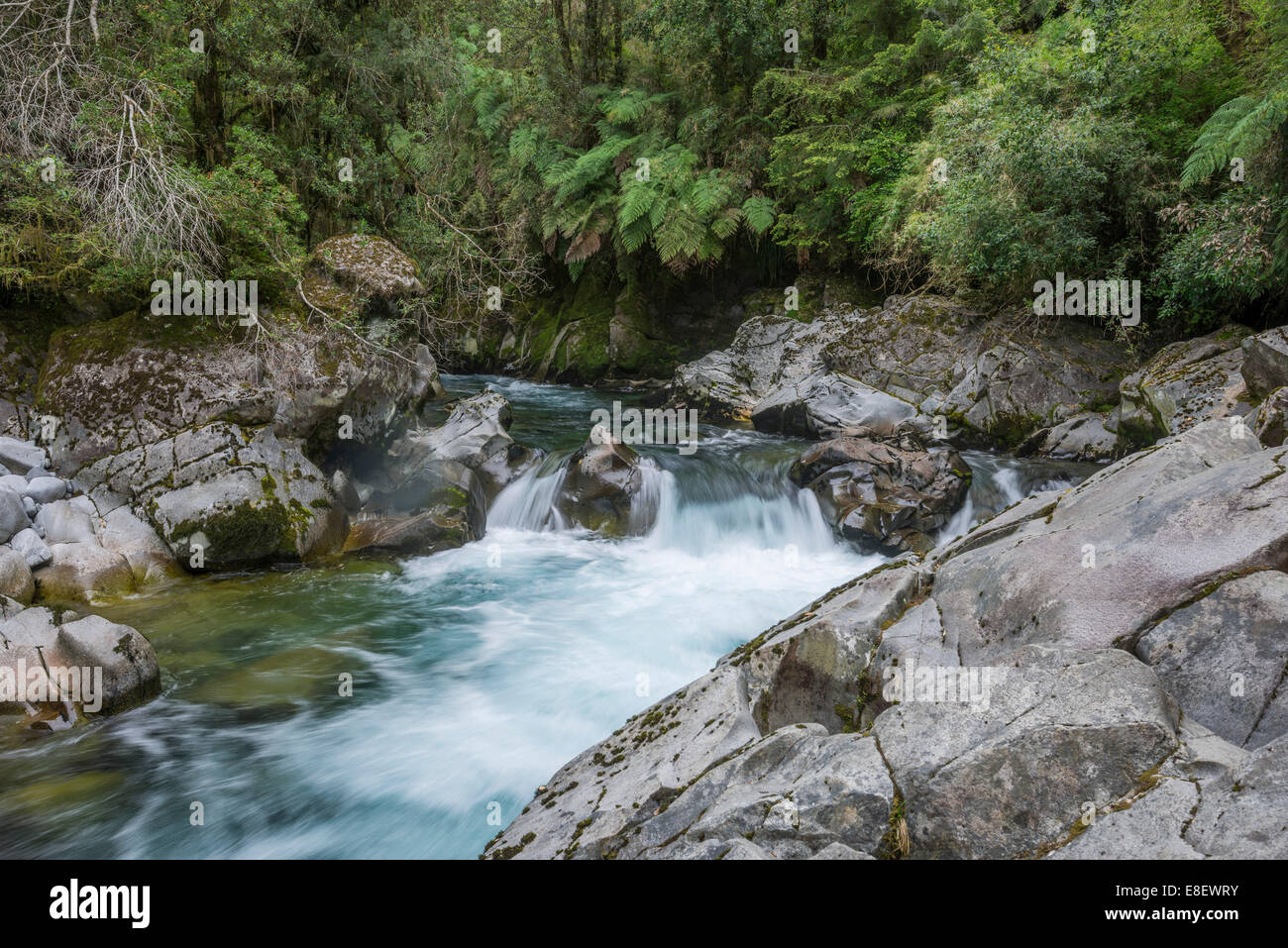 Rápidos del Chanleufú rapids, Parc National Puyehue, Los Lagos Region, Chile Banque D'Images