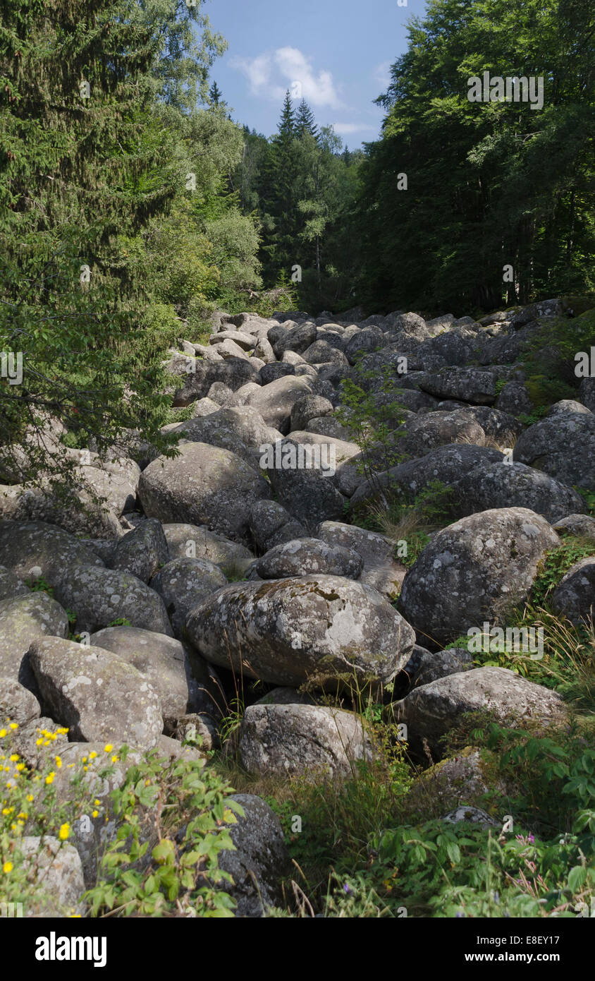 Vue de la rivière pierre Vitisha en montagne, Bulgarie Banque D'Images