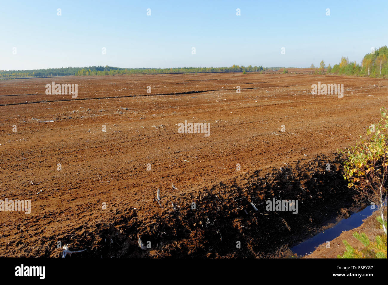 La production industrielle de la tourbe fraisée dans Saara bog, Estonie. Banque D'Images