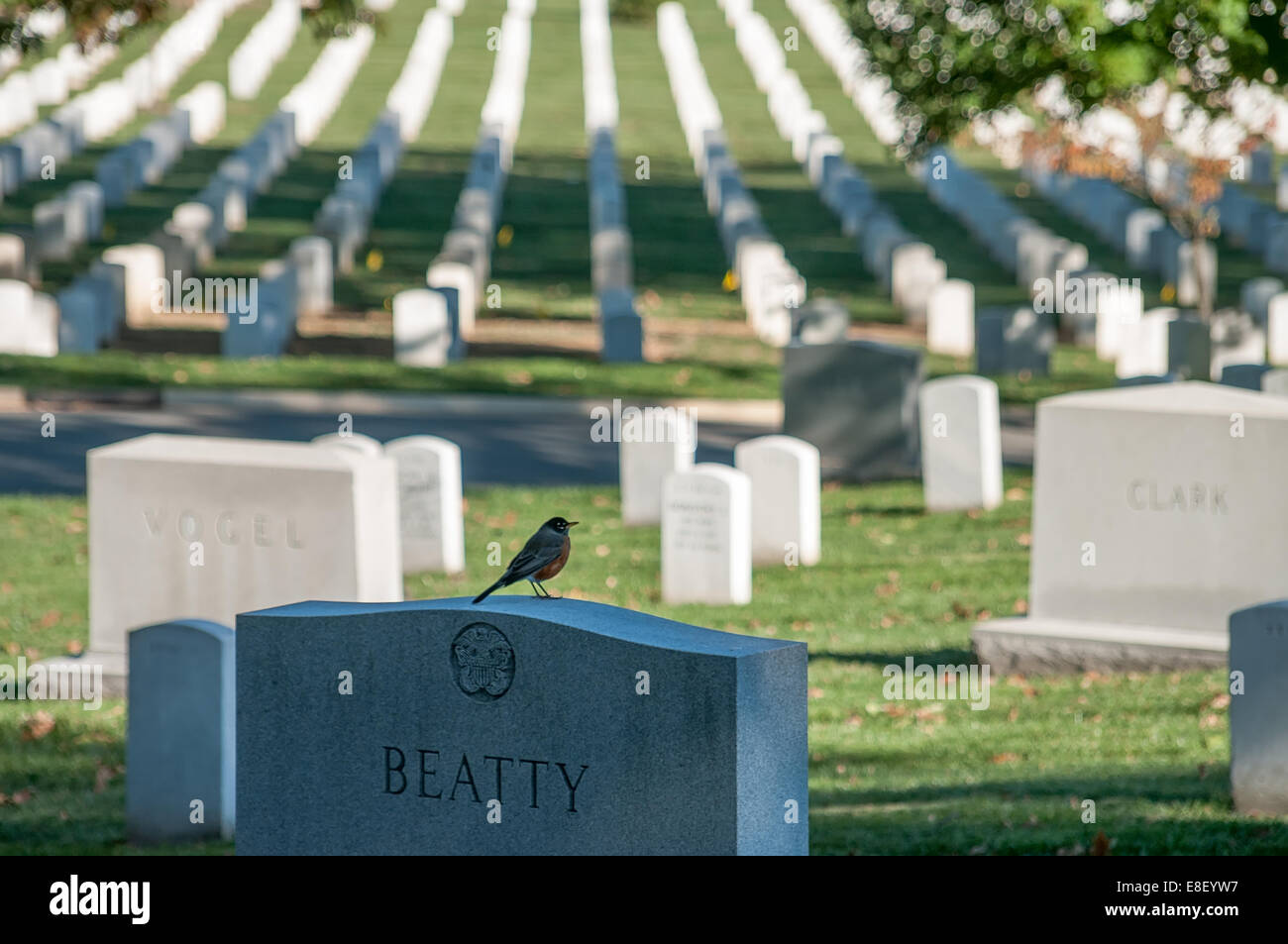 Le Cimetière National d'Arlington Banque D'Images Le Cimetière National d'Arlington Banque D'Images
