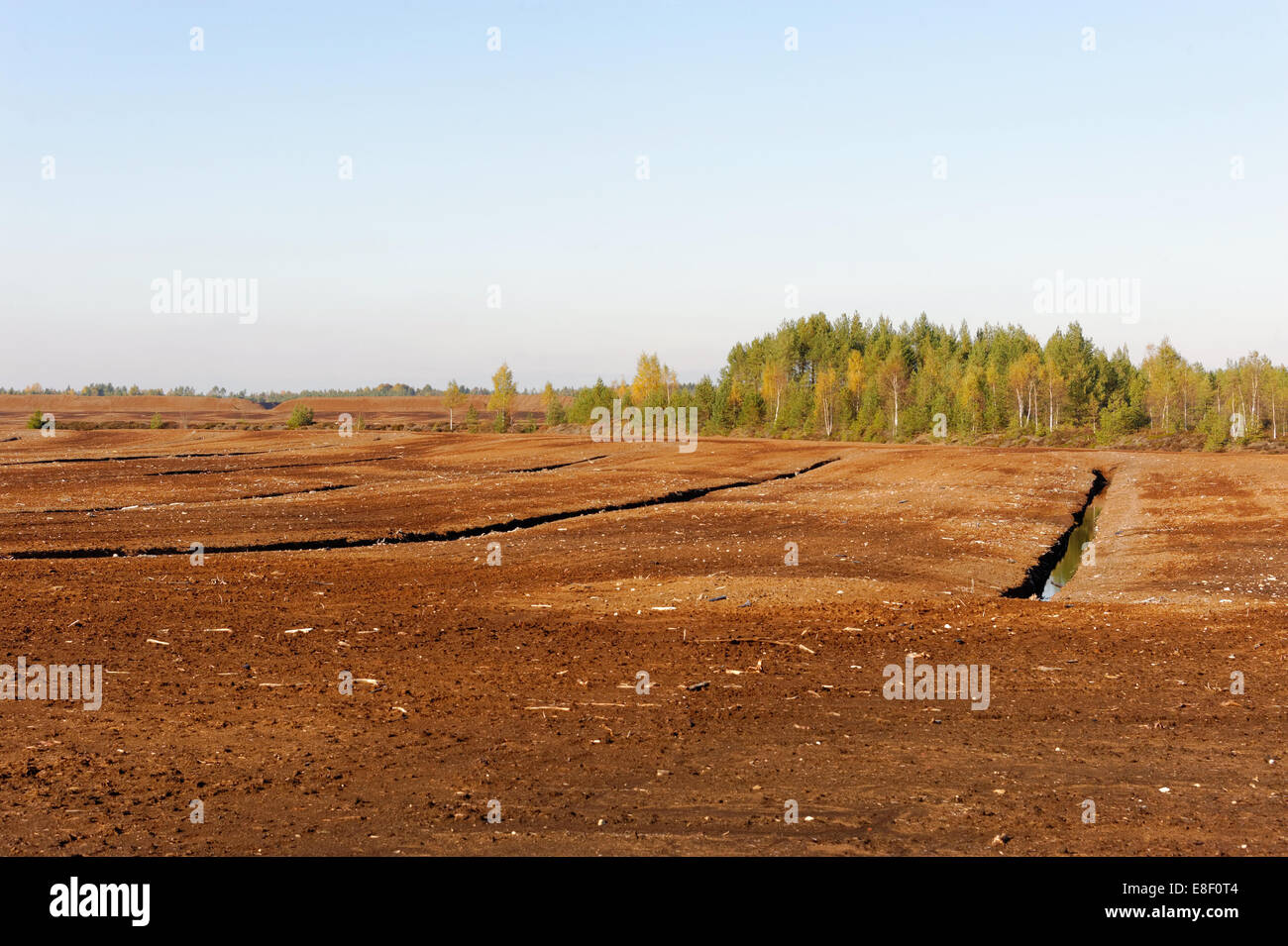 La production industrielle de la tourbe fraisée dans Saara bog, Estonie. Banque D'Images
