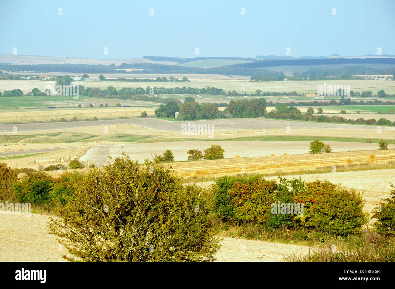 Voir l'est le long de la colline de Ridgeway Charlbury grand champs arables et cochon Banque D'Images