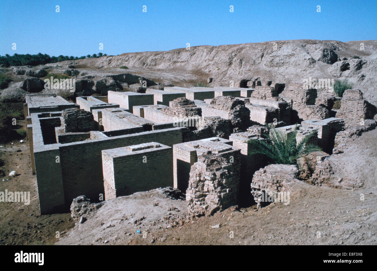 Jardins suspendus de Babylone, en Irak. Banque D'Images