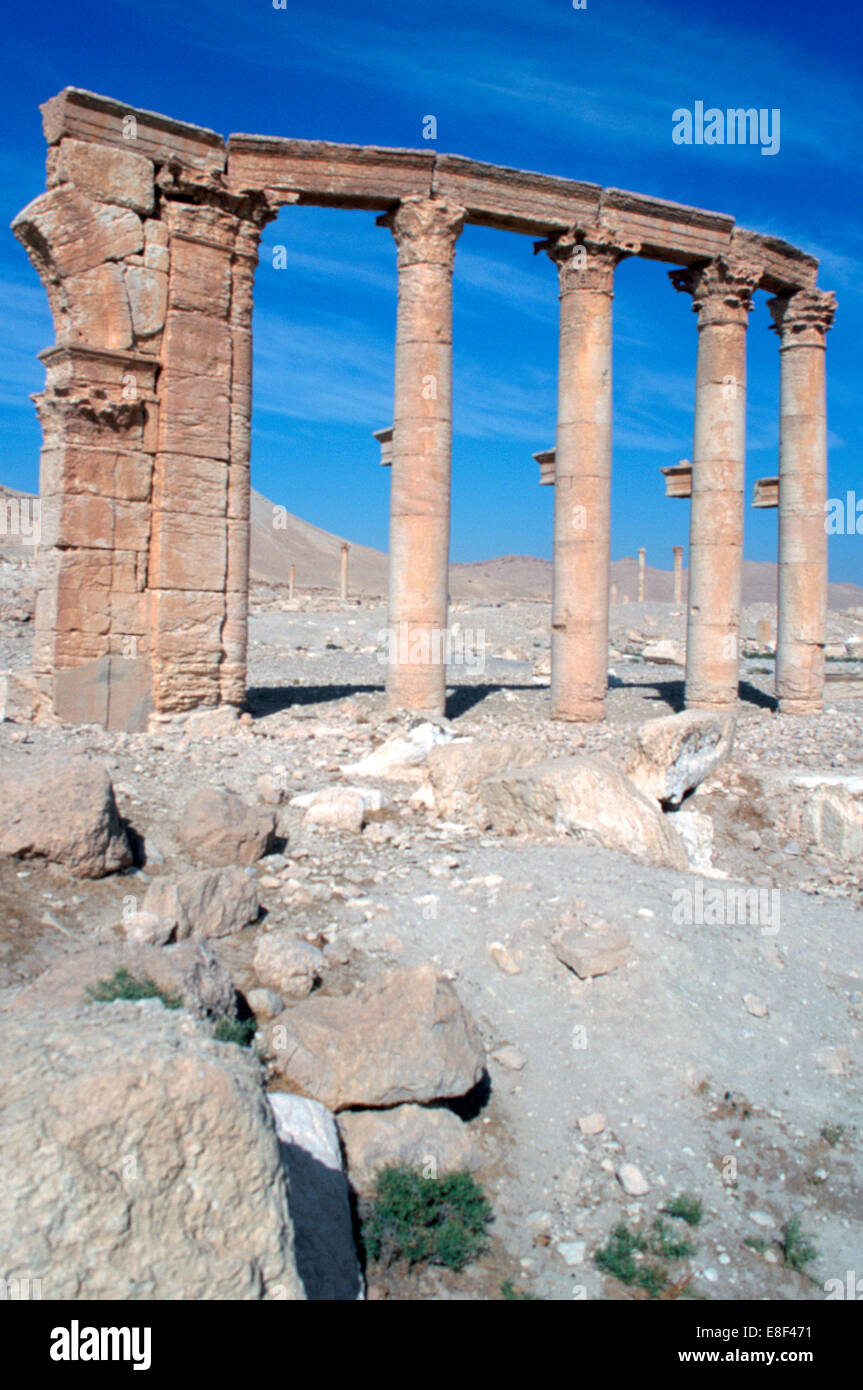 L'Oval Piazza, Palmyre, en Syrie. Banque D'Images