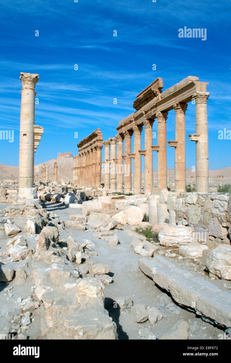 La rue Colonnade, Palmyra, Syrie. Banque D'Images