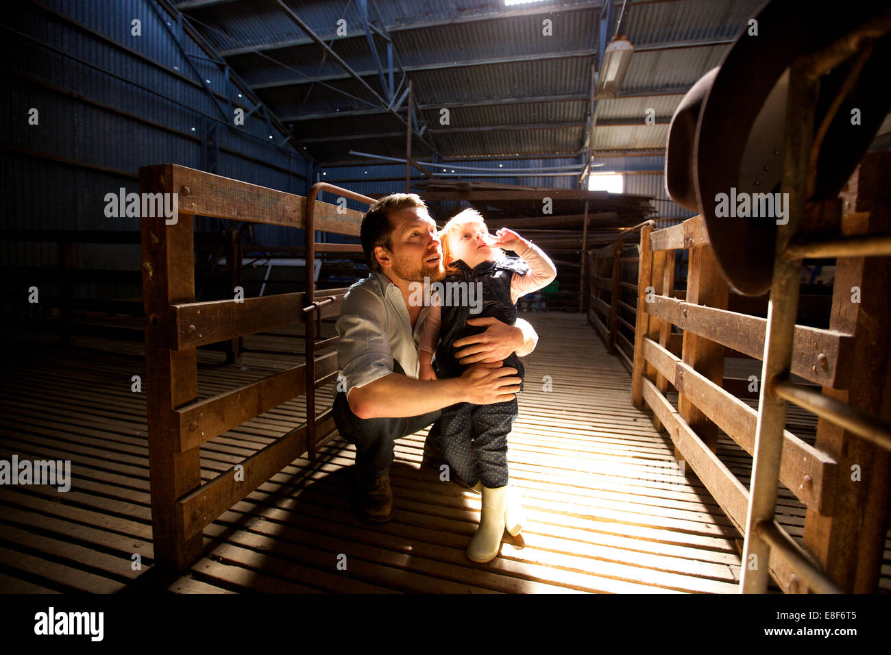 Kangaroo Island Kangaroo Beach & Lodges Banque D'Images