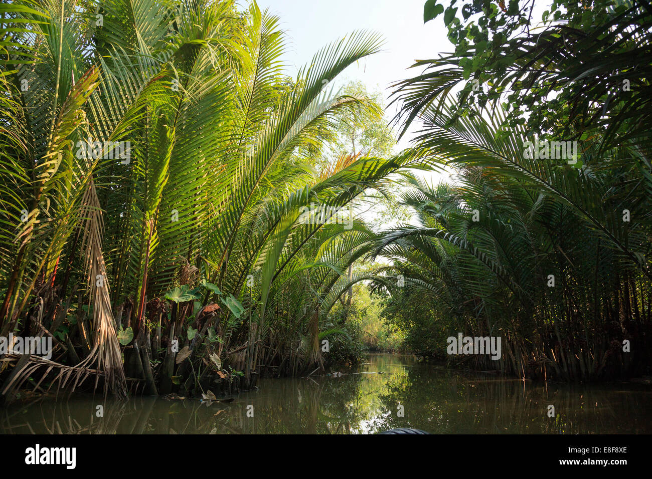 Vietnam, le delta du Mékong, Can Tho, canaux autour de la ville Banque D'Images