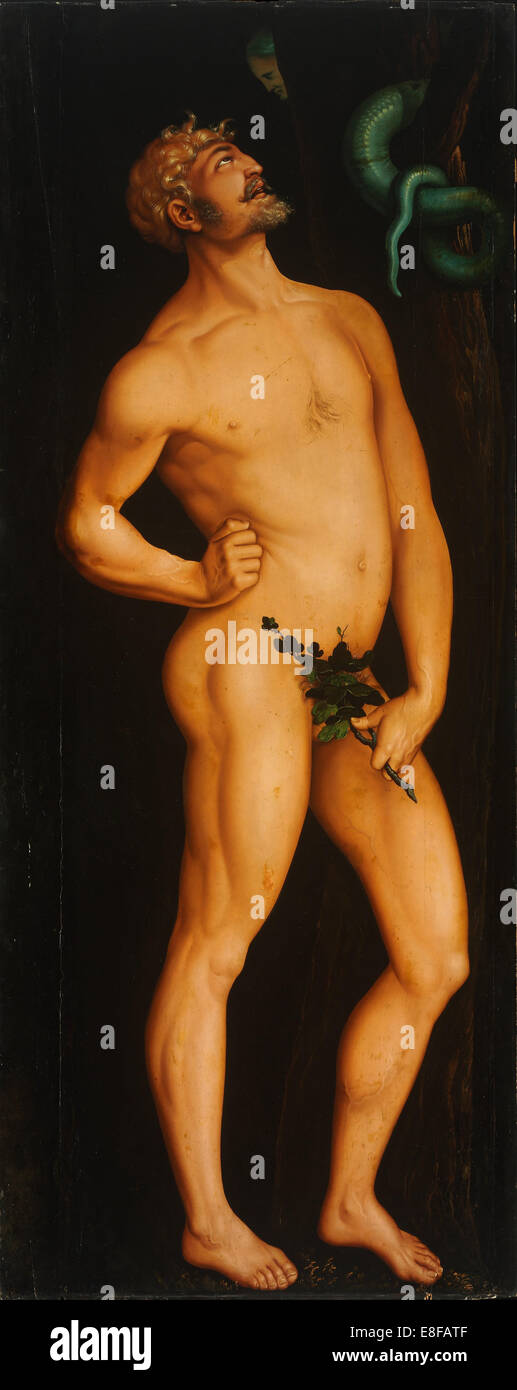 Adam. Artiste : Hans Baldung, (1484-1545) Banque D'Images