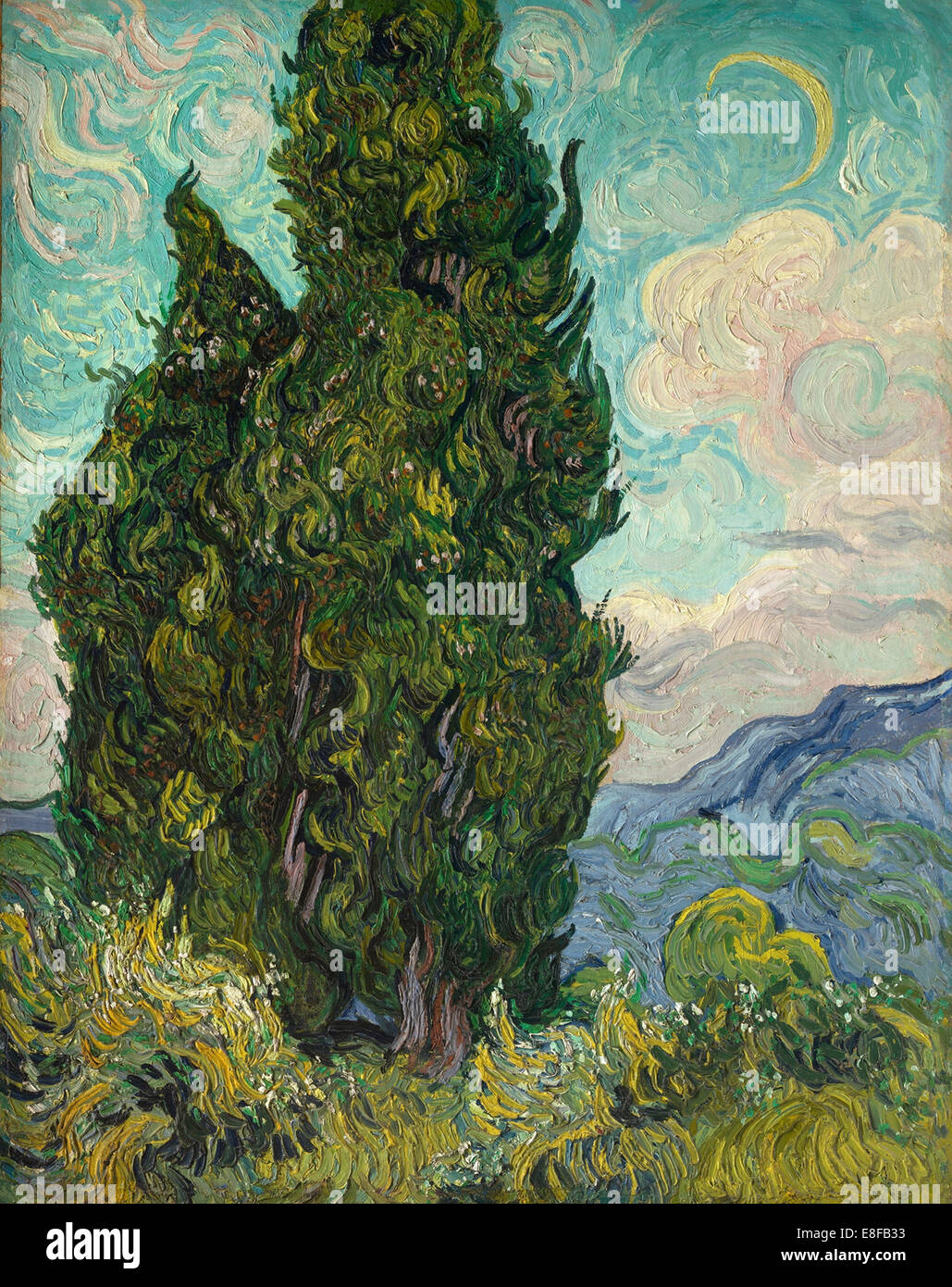 Cyprès. Artiste : van Gogh, Vincent, (1853-1890) Banque D'Images