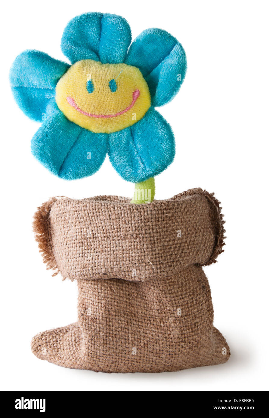 Fleur en peluche dans un sac isolé sur fond blanc Banque D'Images