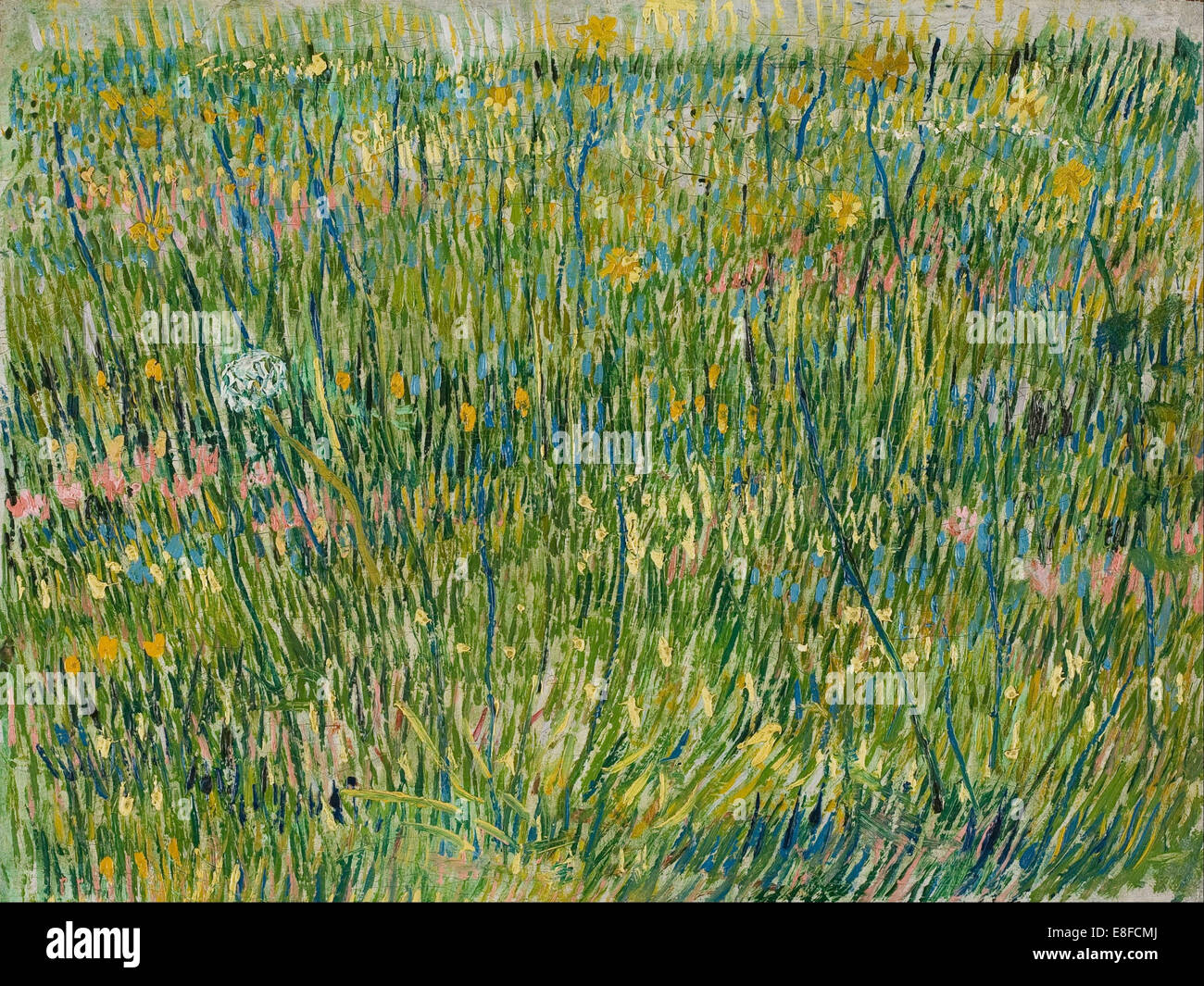 Patch d'herbe. Artiste : van Gogh, Vincent, (1853-1890) Banque D'Images