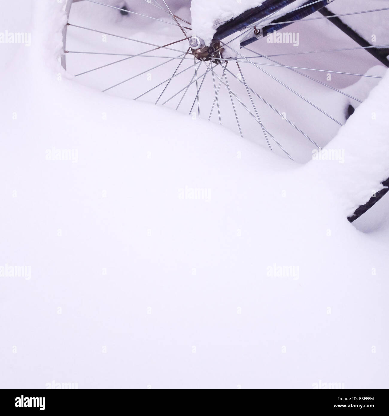 Roue de vélo couvert de neige fraîche Banque D'Images