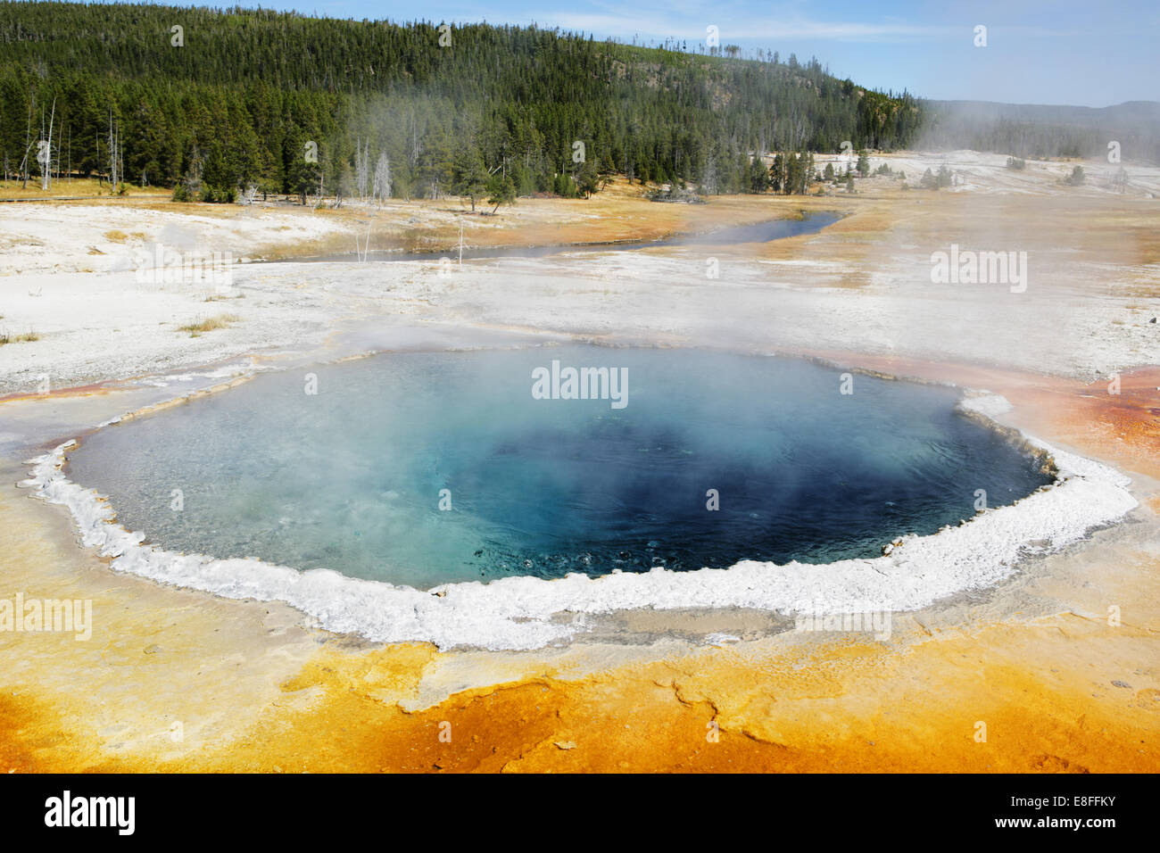 Source chaude, parc national de Yellowstone, Wyoming, États-Unis Banque D'Images