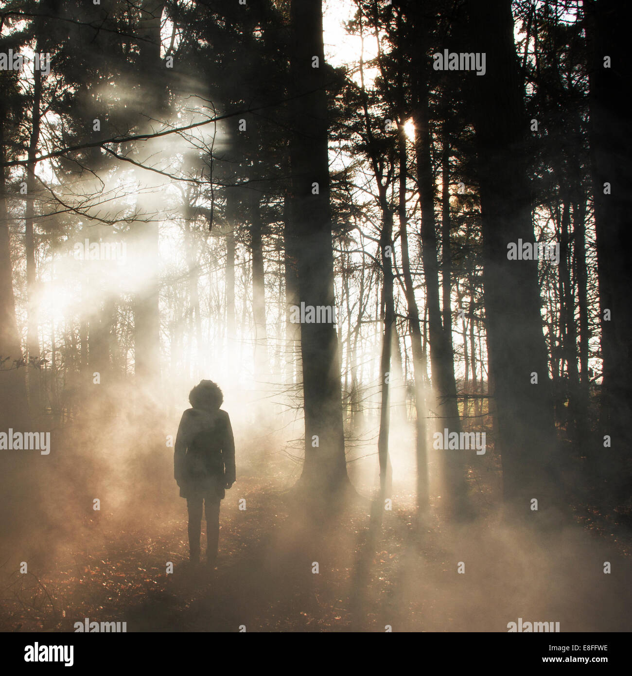 Silhouette d'une femme dans les bois Banque D'Images
