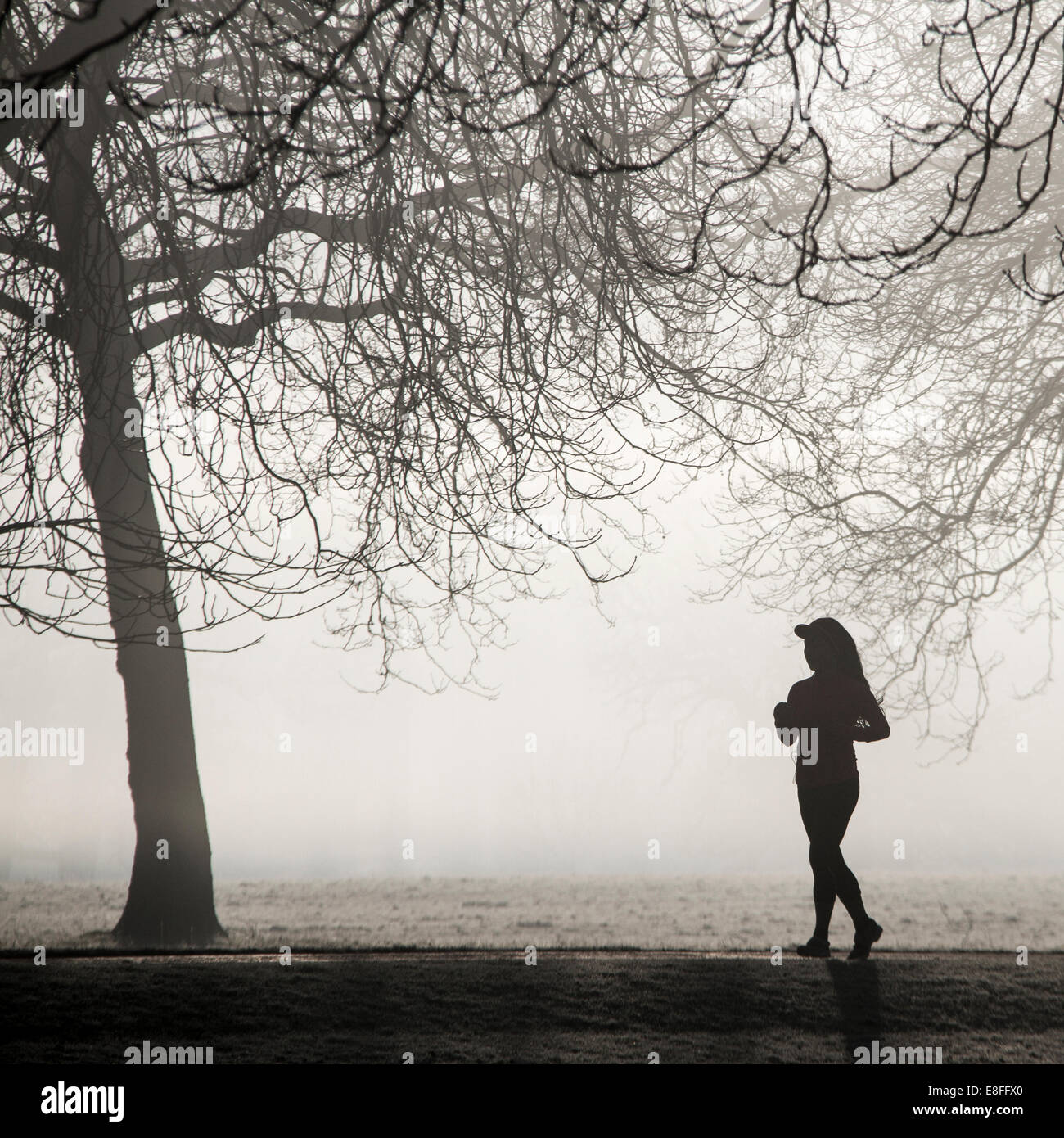 Silhouette d'une femme qui court dans le parc, Angleterre, Royaume-Uni Banque D'Images
