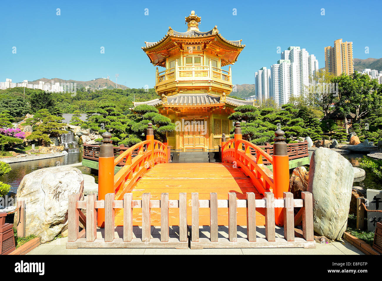 La Chine, Hong Kong, Kowloon, Diamond Hill, Chi Lin Nunnery, vue d'un temple bouddhiste Banque D'Images