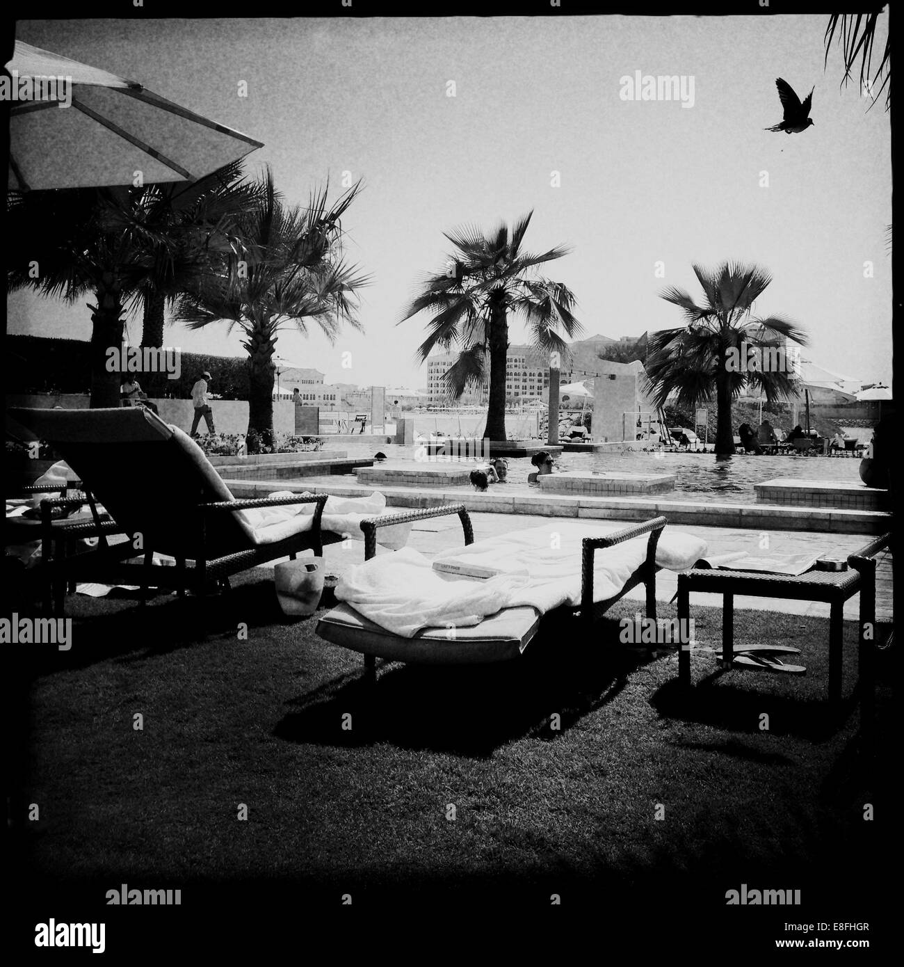 Emirats arabes unis, Abu Dhabi, scène de la piscine et d'oiseau Banque D'Images