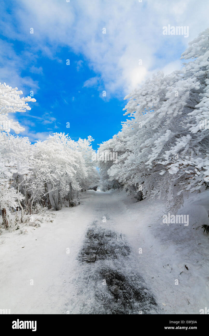 Le Japon, la région de Chubu, Shimo-Ina, préfecture d'Aichi, Mt après tempête de neige Yuno Banque D'Images