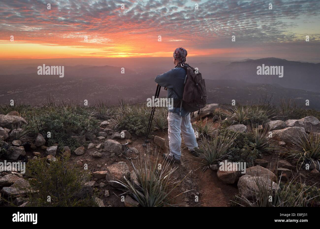 Homme regardant la vue au coucher du soleil, Cleveland National Forest, Californie, États-Unis Banque D'Images