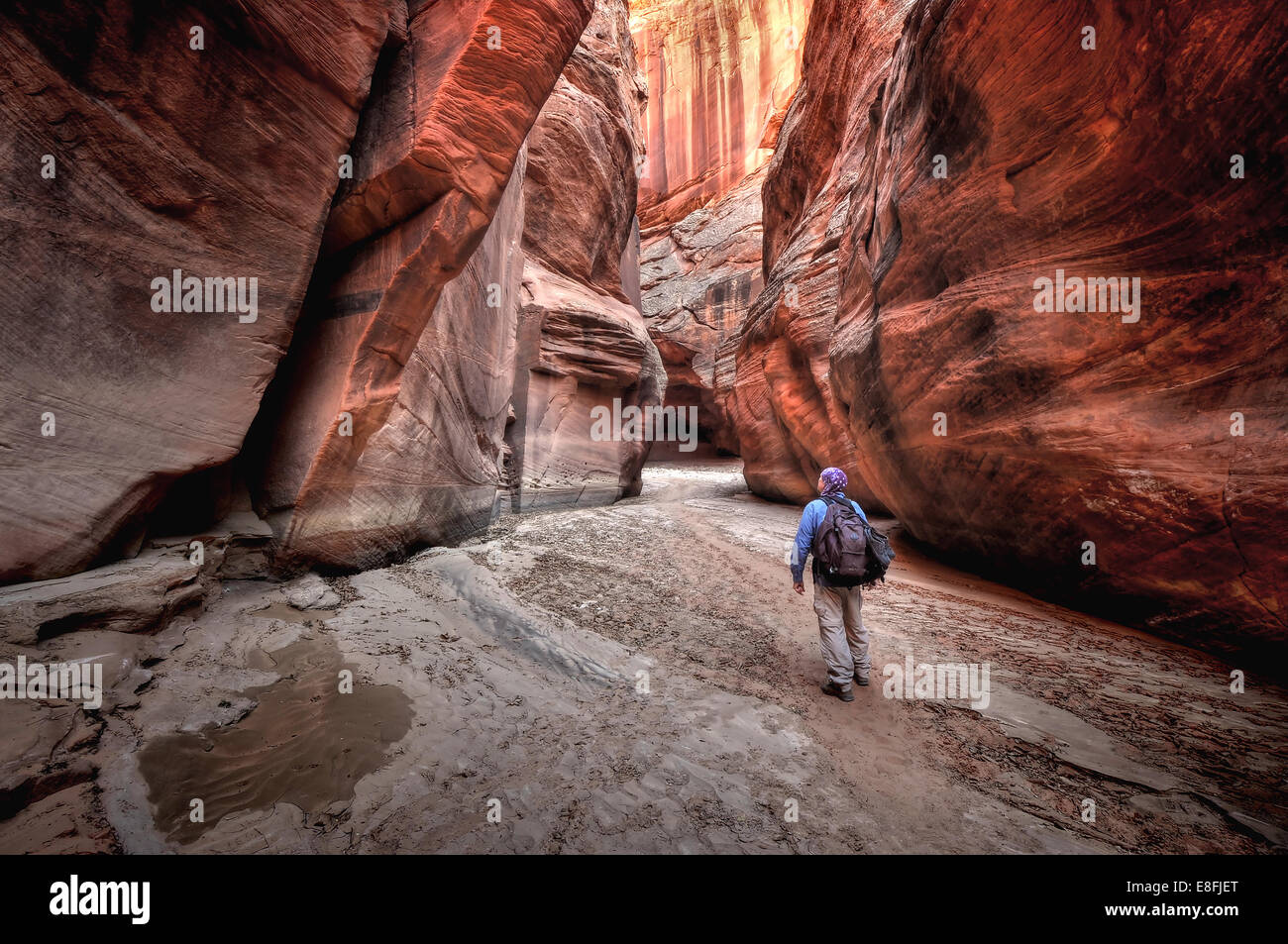 USA, Utah, Paria Canyon-Vermilion Cliffs Wilderness, personne Randonnées dans Buckskin Gulch Banque D'Images