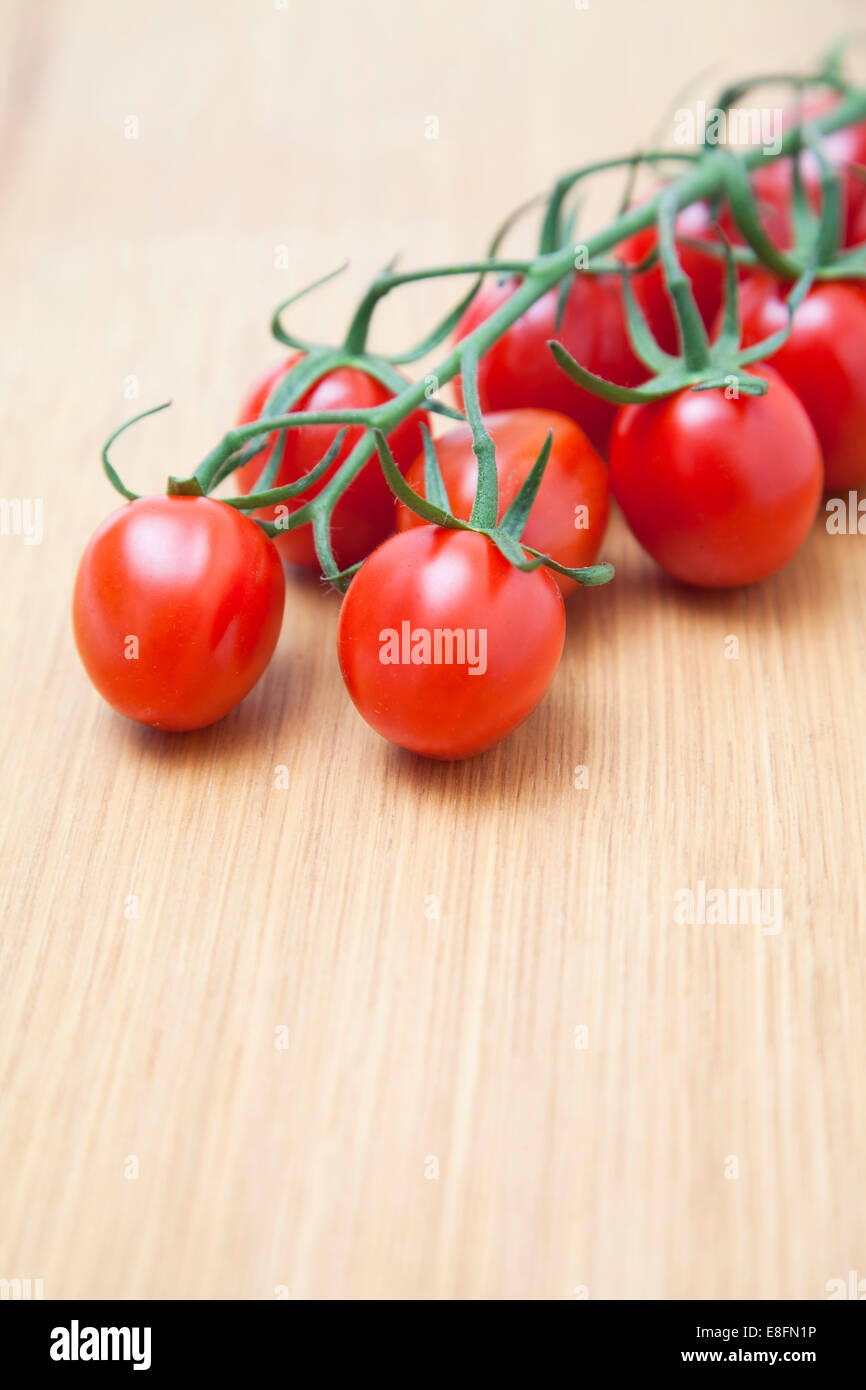 Tomates cerise sur la vigne Banque D'Images