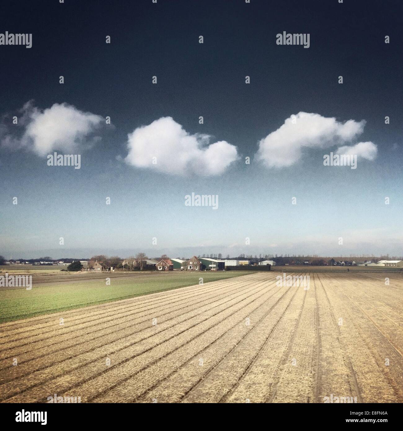 Champ labouré avec farm Banque D'Images