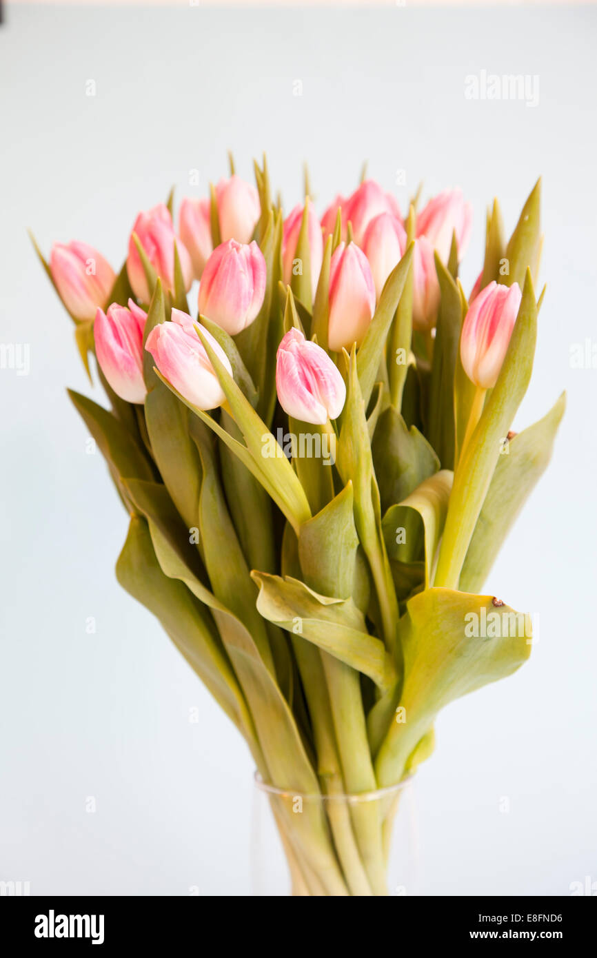 Gros plan d'un bouquet de tulipes roses dans un vase en verre Banque D'Images