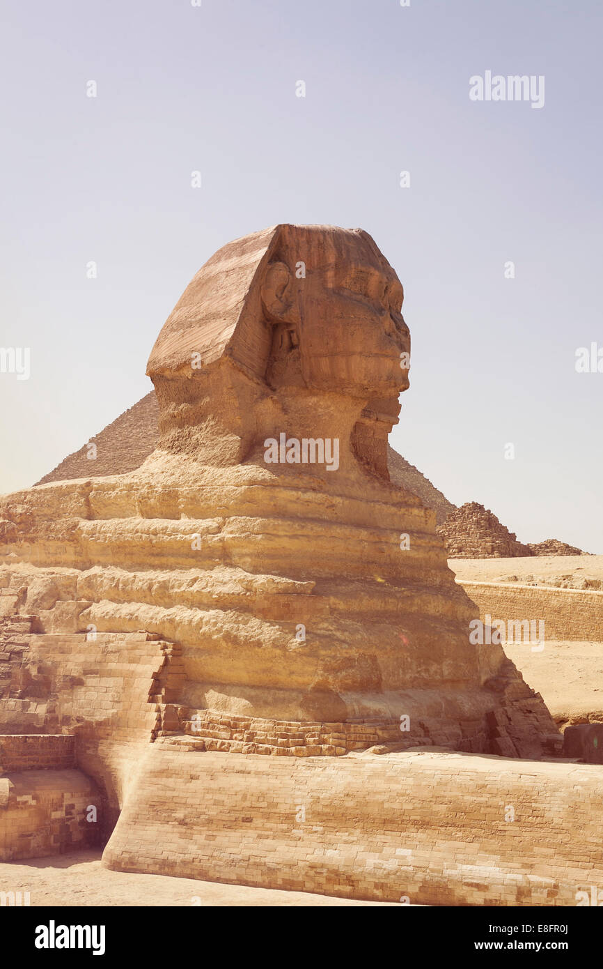 Le Sphinx, Giza, Egypte Banque D'Images