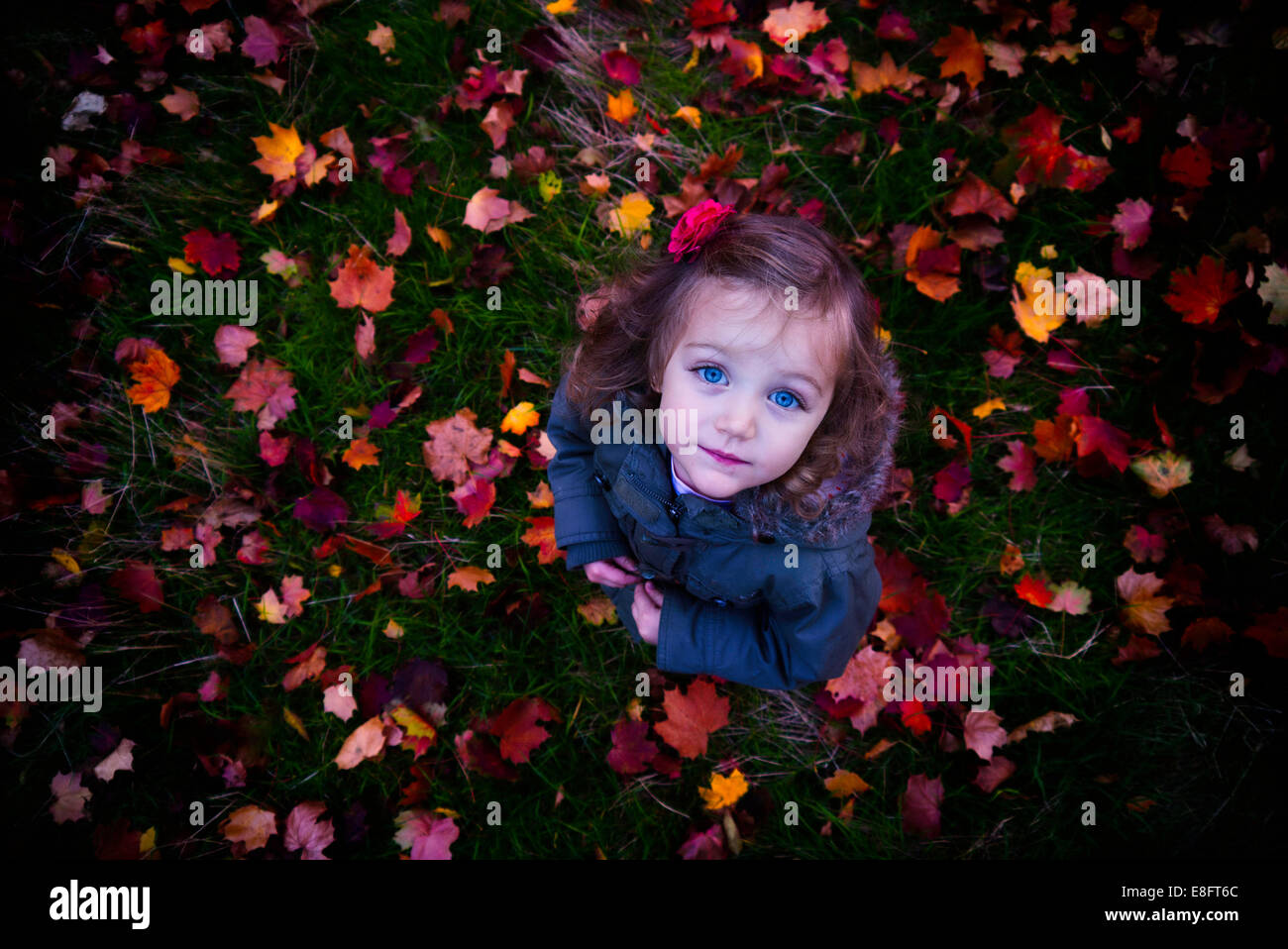 Vue en hauteur d'une fille debout au milieu des feuilles d'automne Banque D'Images