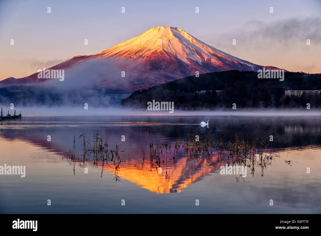 Le Japon, Mt.Fuji se reflétant dans le lac Yamanaka Banque D'Images