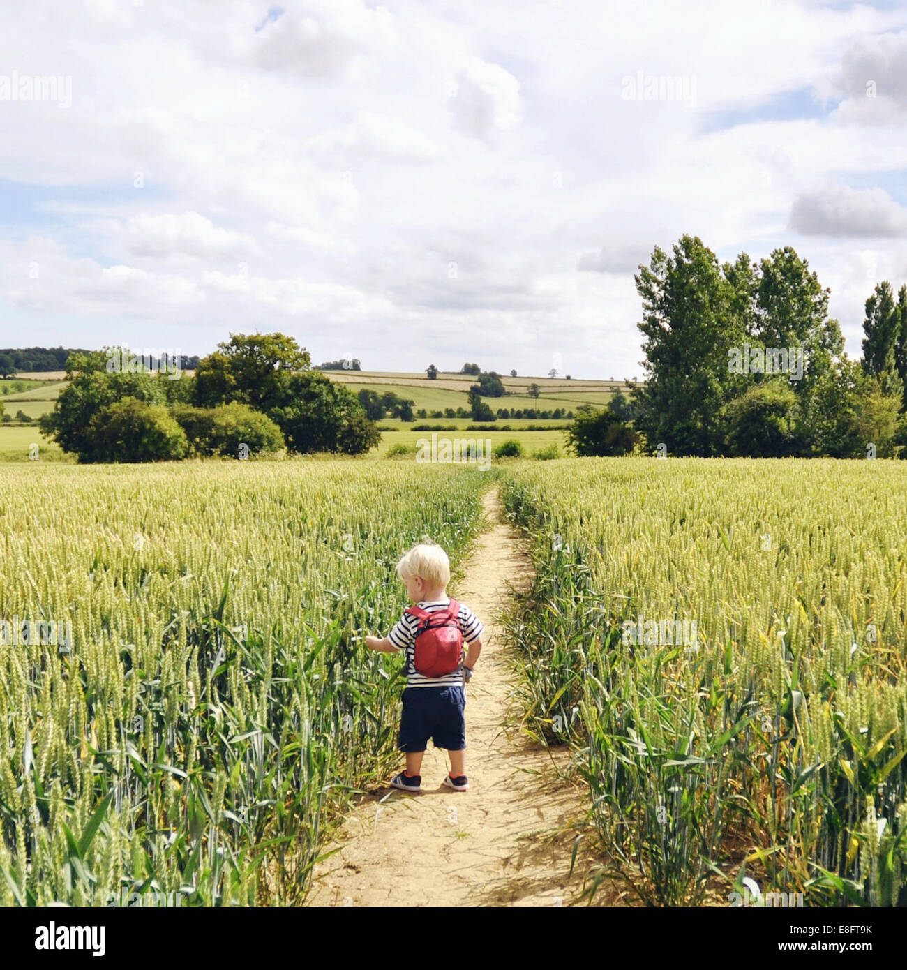 Garçon marchant le long sentier en champ de blé Banque D'Images
