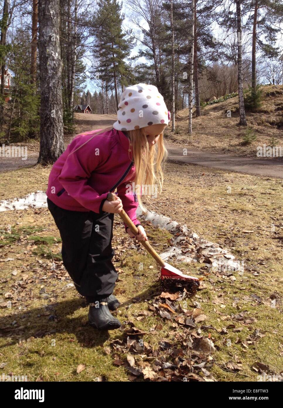 Fille raking feuilles d'automne dans le jardin, Suède Banque D'Images