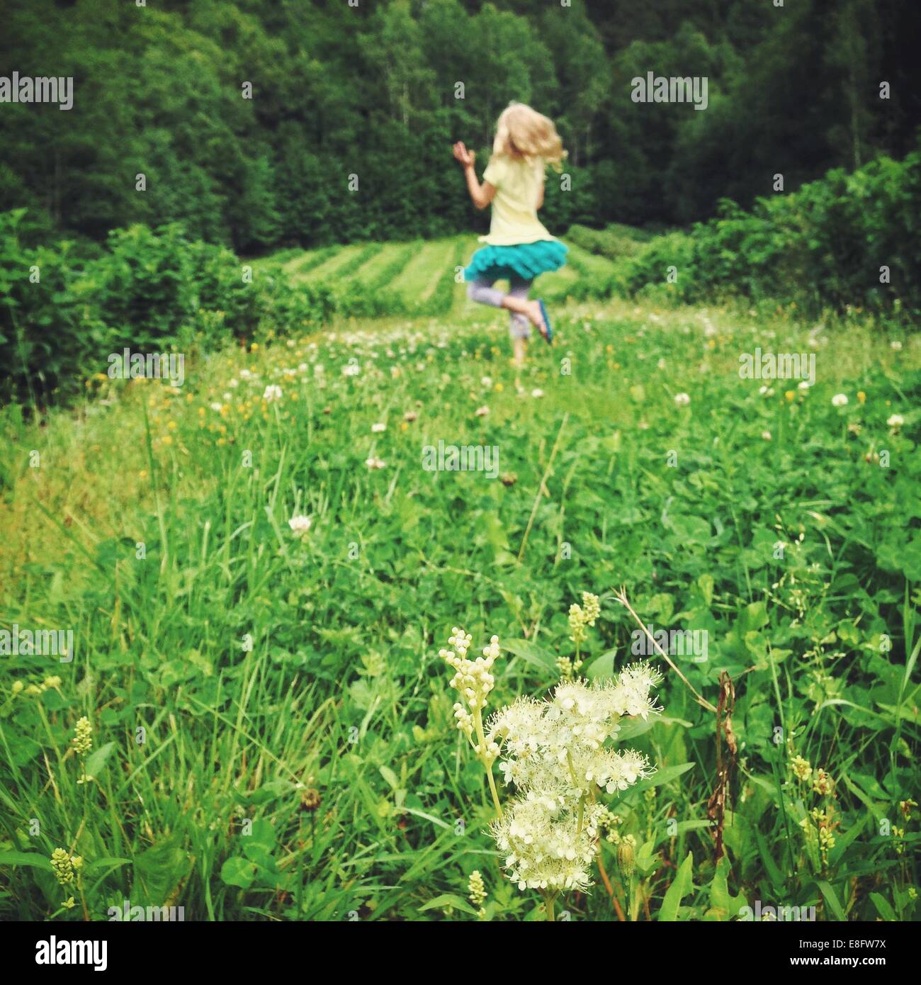 Girl (12-13) jumping on meadow Banque D'Images