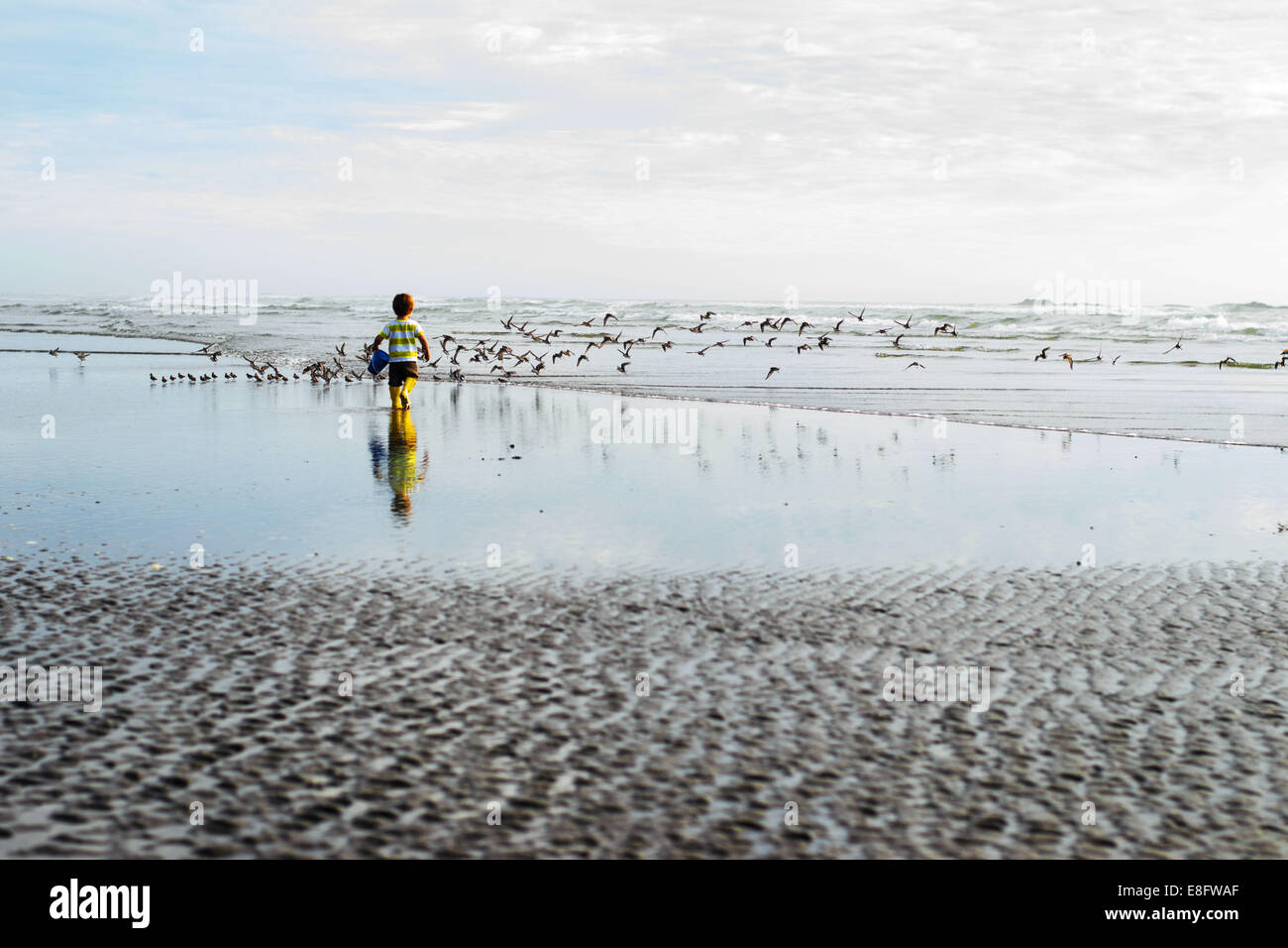 Garçon jouant dans les hivers sur la plage, USA Banque D'Images