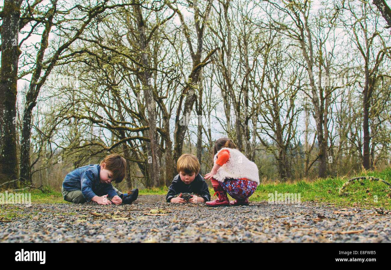 Trois enfants jouant dans la forêt, États-Unis Banque D'Images
