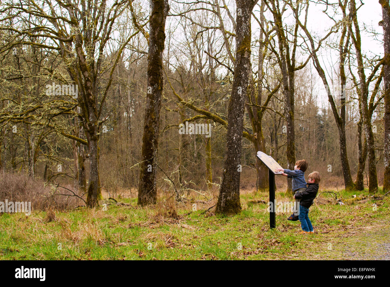 Garçon levant son frère pour regarder un panneau de sentier dans la forêt, États-Unis Banque D'Images