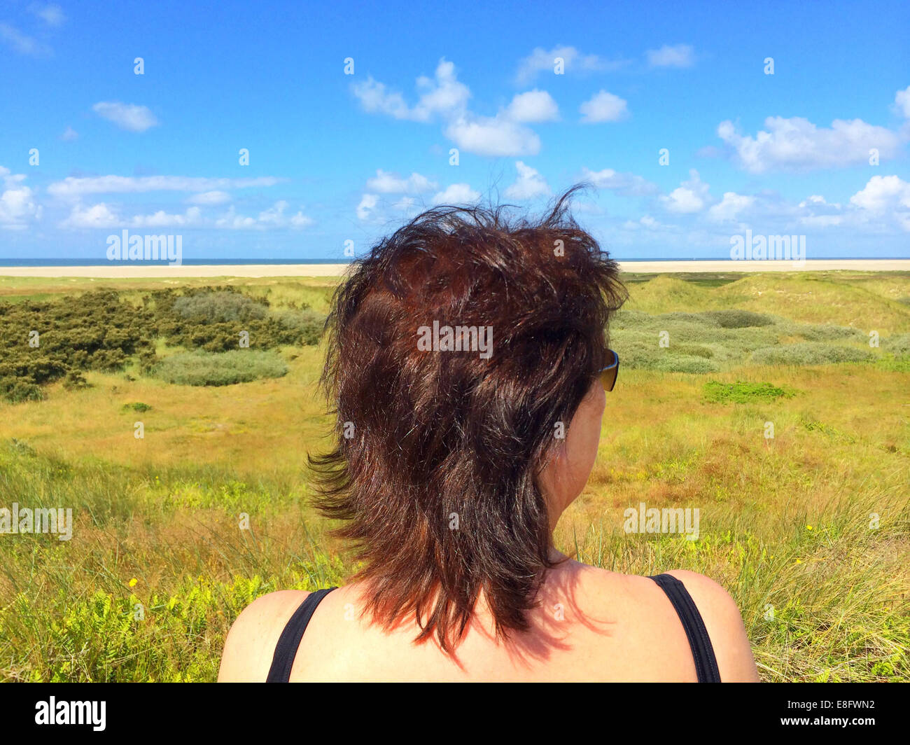 Vue arrière de la femme qui regarde la plage, Fanoe, Jutland, Danemark Banque D'Images